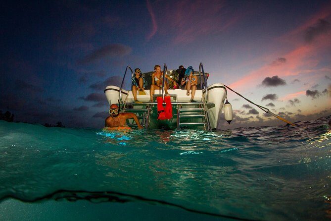 Sunset- night snorkel trip - Key Points