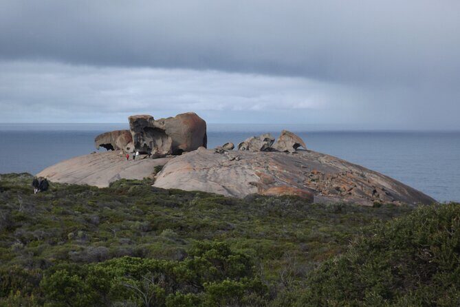 Sunset Nocturnal Adventure Tour - Why This Tour Is Worth Considering