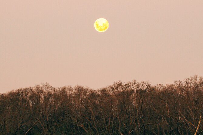 Sunset Nocturnal Adventure Tour - Frequently Asked Questions