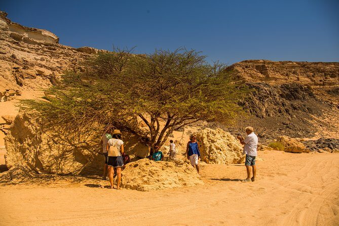 Sunset Oasis Desert Experience in El Gouna and Hurghada - Key Points