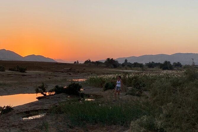 Sunset Oasis Desert Experience in El Gouna and Hurghada - Who Should Consider This Tour?