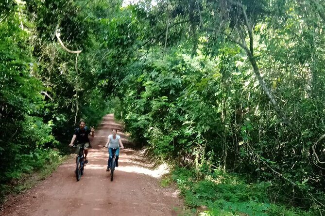 Sunset or sunrise bicycle tour around Angkor Wat and nearby temples - Discovering the Temples: What to Expect