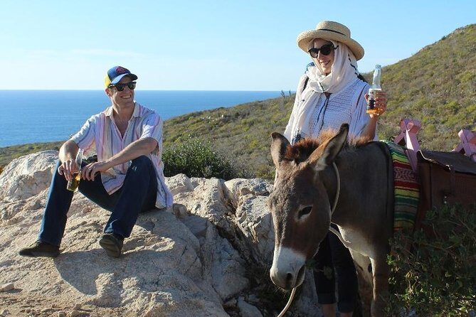 Sunset Pacific Donkey Hiking Tour - Key Points