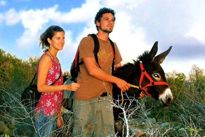 Sunset Pacific Donkey Hiking Tour - Practical Tips for Travelers