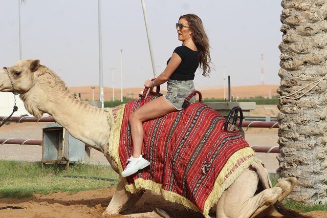 Sunset Quad/Buggy Tour & BBQ Evening - Access to a Traditional Desert Camp