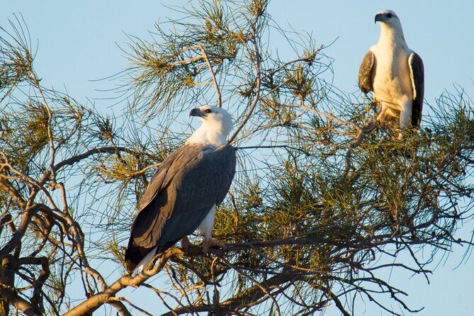Sunset River Cruise in Kalbarri - A Detailed Look at the Experience