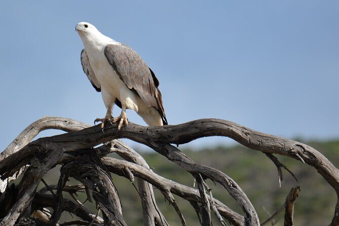 Sunset River Cruise in Kalbarri - FAQ
