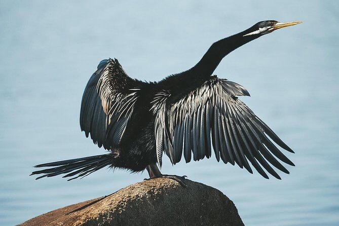 Sunset River Cruise near Byron Bay - FAQs