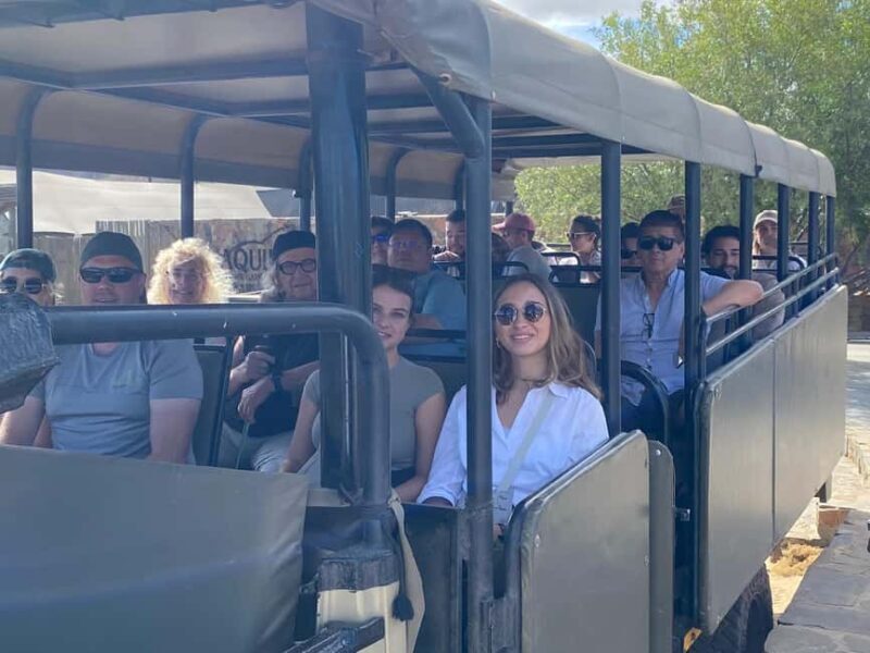 sunset safari big 5 aquila with snack and wine tasting - Key Points