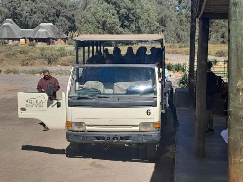 sunset safari big 5 aquila with snack and wine tasting - Who Will Love This Tour?