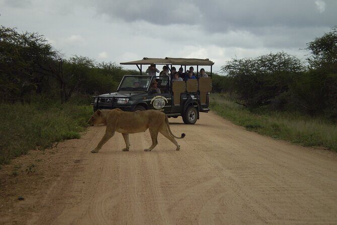 Sunset Safari of Kruger National Park - What to Expect from the Sunset Safari Experience