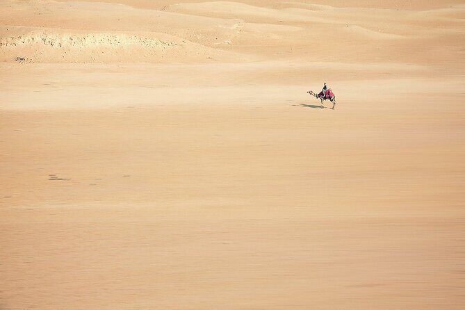Sunset Safari Tour By Horse or Camel Ride - An In-Depth Look at the Sunset Safari Tour