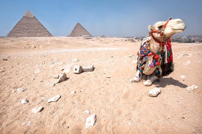 Sunset Safari Tour By Horse or Camel Ride - Frequently Asked Questions