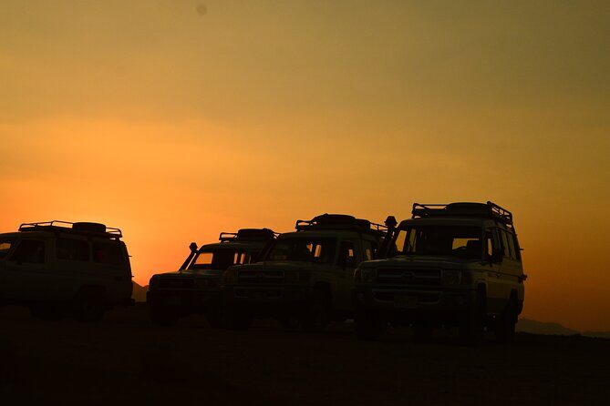 Sunset Safari trip by Jeep - An In-Depth Look at the Sunset Safari Experience