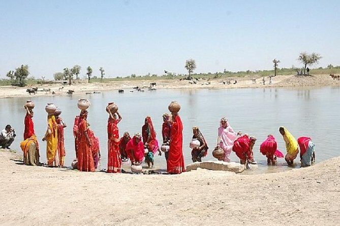 Sunset Safari With Dinner - A Practical Guide to Jaisalmer’s Sunset Safari With Dinner