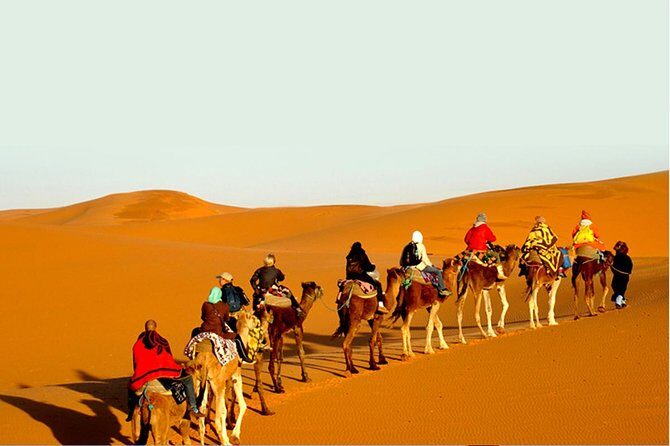 Sunset Safari With Dinner - Key Points