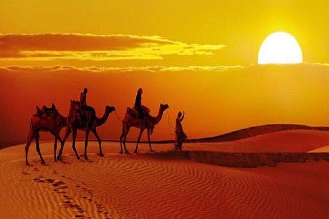 Sunset Safari With Dinner - FAQ