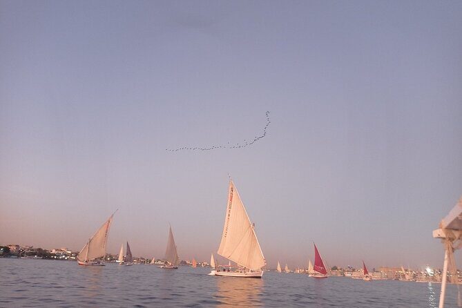 Sunset sailing by Felucca in Luxor -2 Hours (Private) - A Detailed Look at the Experience