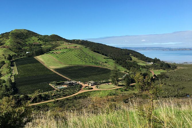 Sunset Scenic Dinner Tour on Beautiful Waiheke Island - FAQ: Common Questions About the Sunset Scenic Dinner Tour on Waiheke Island