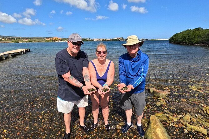 Sunset Sea Glass Island Kayak Tour - An In-Depth Look at the Tour