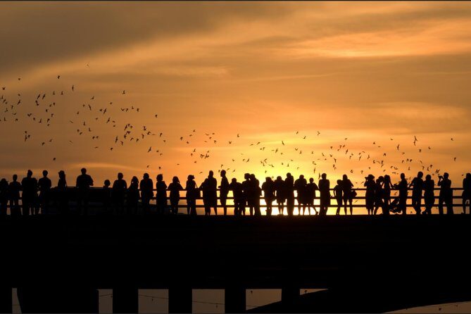 Sunset Skyline Kayak Tour - FAQ