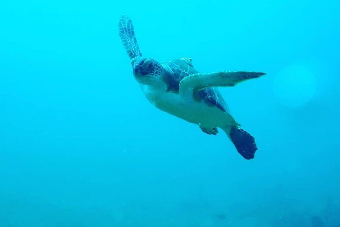 Sunset Snorkeling - Who Will Love This Experience?