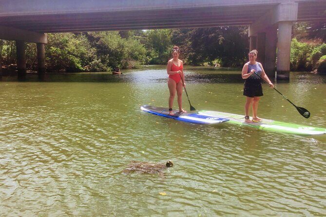 Sunset Stand Up Paddle with Photos and Turtles - Who Will Love This Tour?