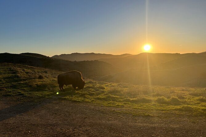Sunset Summit Catalina Island Shared Tour - Who Will Love This Tour?