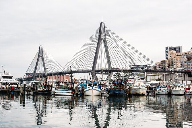 Sunset Sydney Fish Market Tour - Key Points