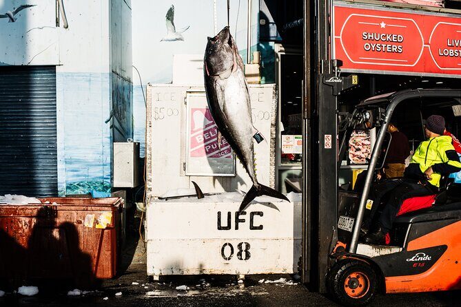 Sunset Sydney Fish Market Tour - Final Thoughts