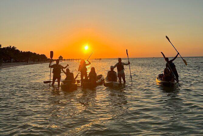 Sunset toast and bioluminescence in clear kayak - An In-Depth Look at the Experience