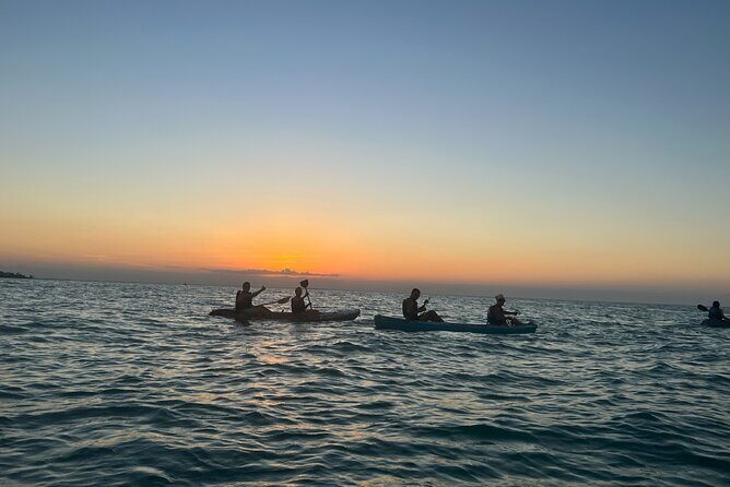 Sunset toast and bioluminescence in clear kayak - Final Thoughts: Is It Worth It?