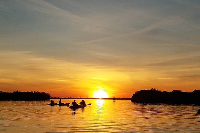 Sunset Tour Mangrove, Dolphins, Manatee #1 Rated in Cocoa Beach - Why This Tour Is a Smart Choice