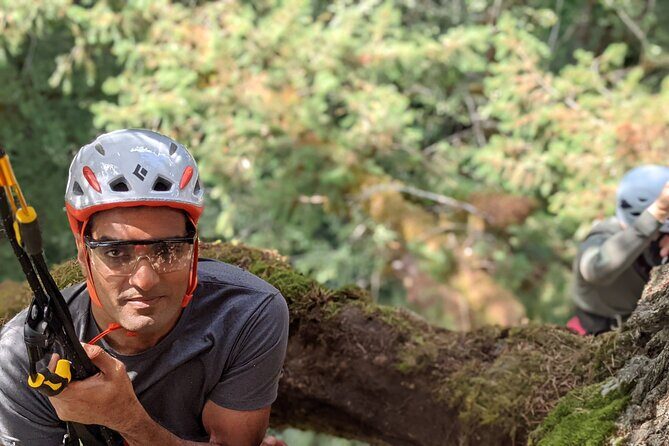Sunset Tree Climb at Silver Falls State Park - An Authentic Look at the Sunset Tree Climb Experience