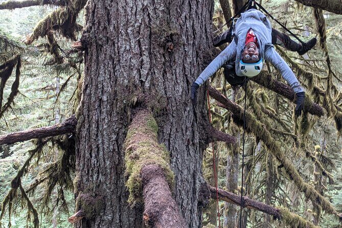 Sunset Tree Climb at Silver Falls State Park - Frequently Asked Questions