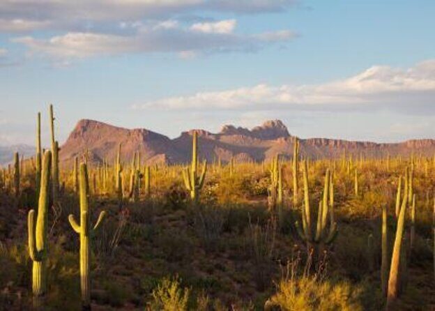 Sunset UTV Sand Buggy Off-Road Adventure Tour Scottsdale - Key Points