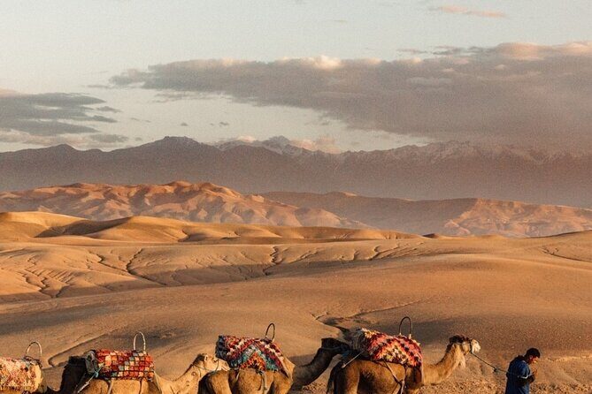 Sunset views with dinner show and came ride tour - Final Thoughts: Who Will Love This?