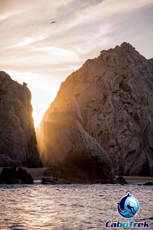 Sunset Whale Watching Cruise in Cabo San Lucas - What to Expect from the Sunset Whale Watching Cruise