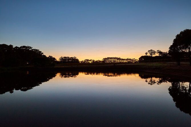 Sunset Wine Tasting Experience at Passel Estate - Sunset Wine Tasting Experience at Passel Estate: A Genuine Look