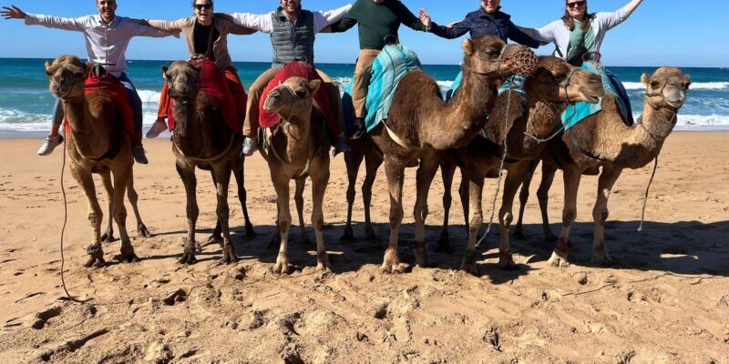 Sunset with Camel ride in Tangier ends with walking tour - What Makes the Tour Special
