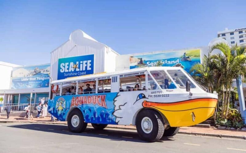 Sunshine Coast: 1-Hour Land and Water Tour - What to Expect from the 1-Hour Amphibious Tour
