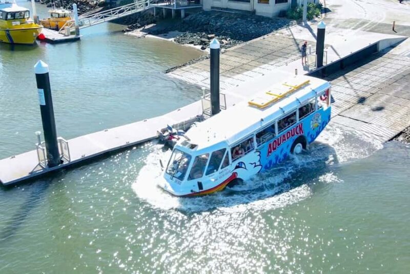 Sunshine Coast: 1-Hour Land and Water Tour - Reviews: What Travelers Say