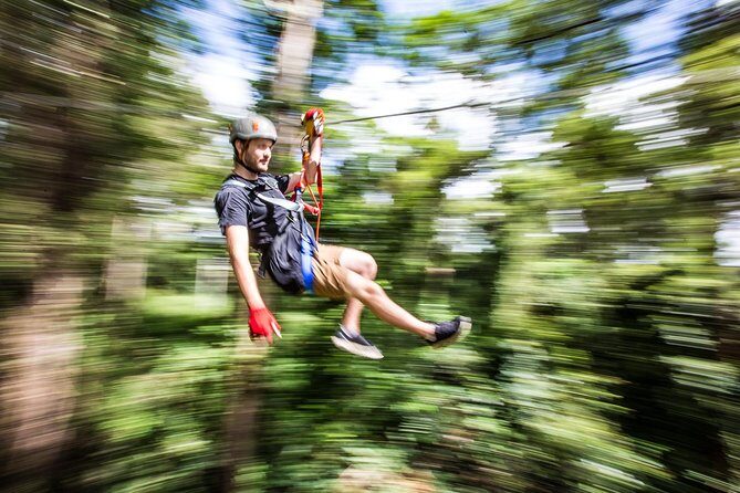 Sunshine Coast Adventure Park TreeTop Challenge - A Detailed Look at the TreeTop Challenge Experience