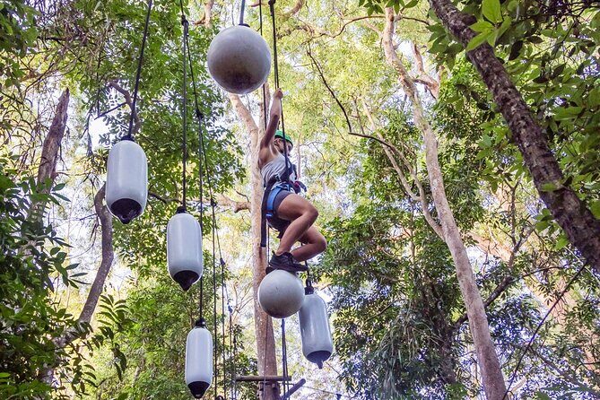 Sunshine Coast Adventure Park TreeTop Challenge - Who Should Consider This Tour