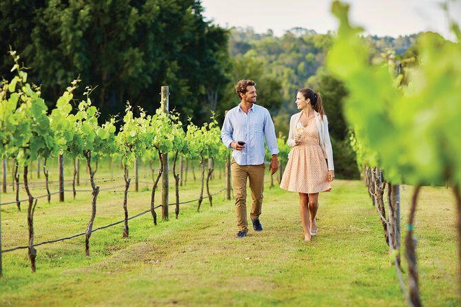 Sunshine Coast and Noosa Private Tour Inc. 2-Course Gourmet Lunch - Exploring the Sunshine Coast and Noosa in Style