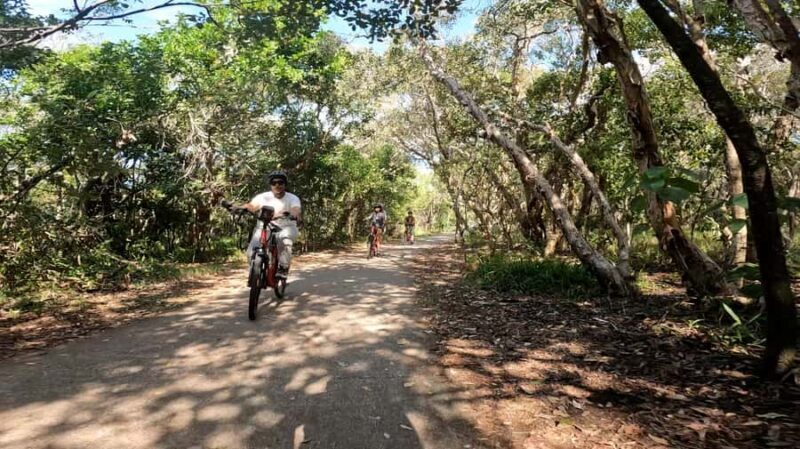 Sunshine Coast: Easy Peasy Novotel North E-Bike Tour - The Experience: Authenticity and Comfort