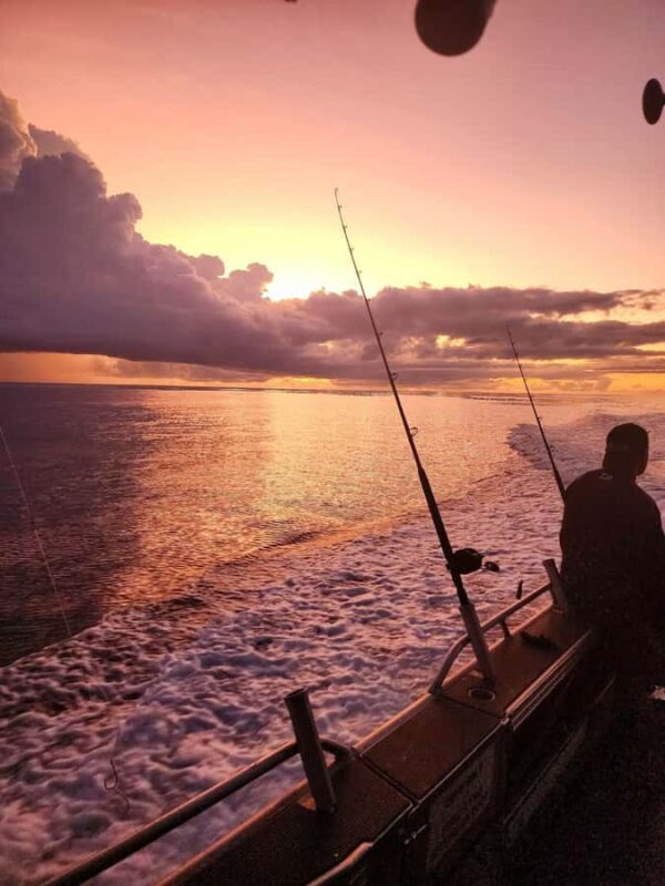 Sunshine Coast: Fishing Charters - Who Should Book This Tour?