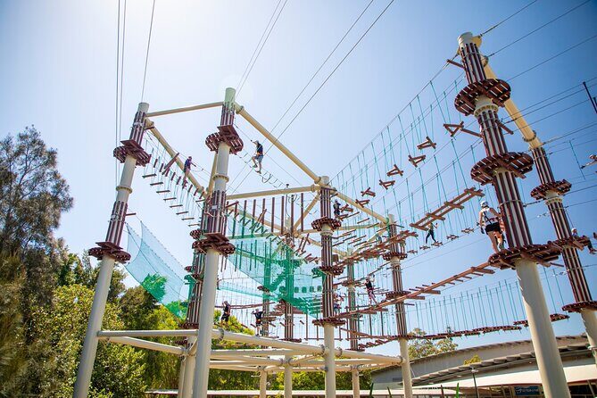 Sunshine Coast High Ropes Course - Who Will Love This