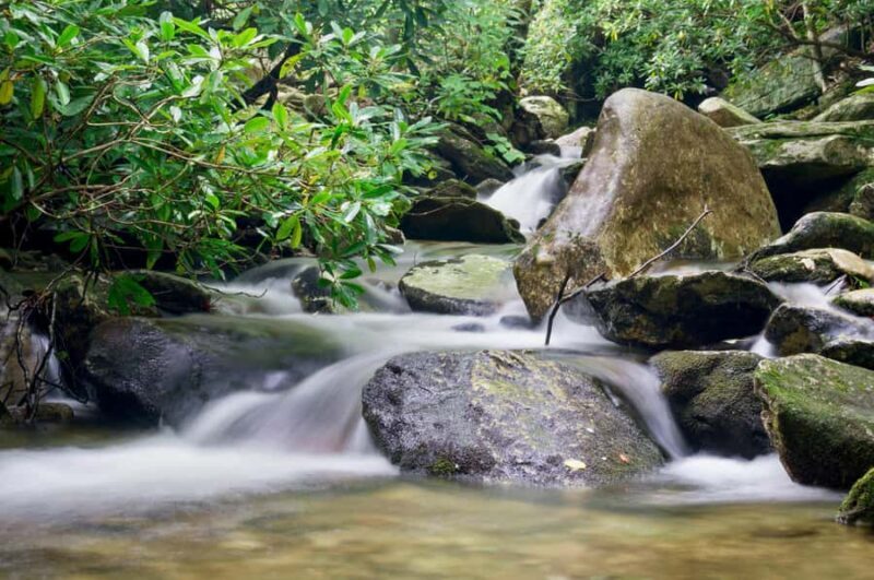 Sunshine Coast: Hinterland Adventure Private 4WD Jeep Tour - Key Points