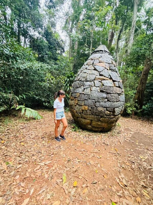 Sunshine Coast: Hinterland Adventure Private 4WD Jeep Tour - Practical Tips for Travelers